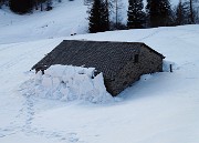 73 La biata ha scrollato di dosso la neve